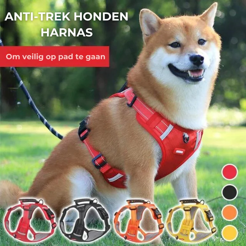 Robust og Behagelig Sele til Hunde