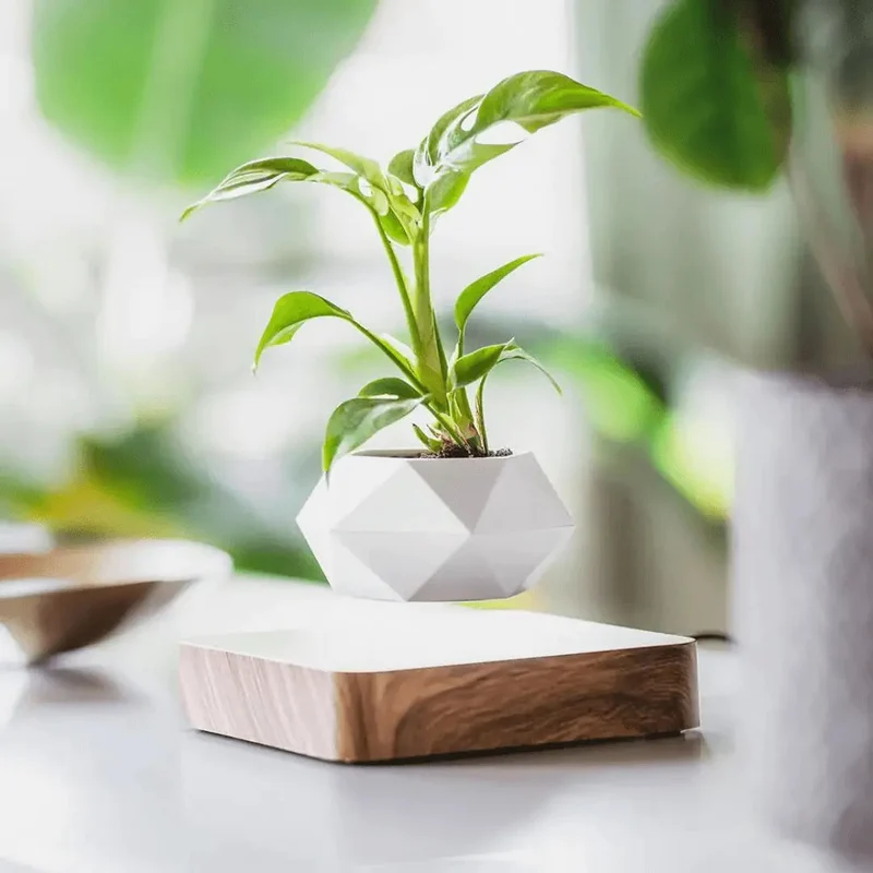Svævende Plantekrukke med Magnetisk Levitationssystem - FloraMag
