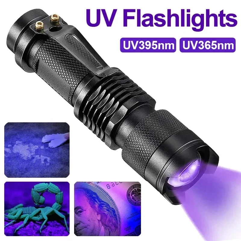 UV Lys - Effektiv Inspektionslampe til Pet Urin og Pletter