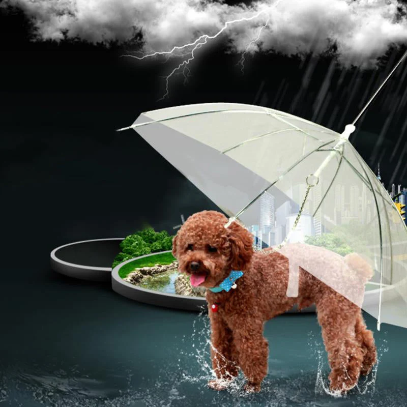 Kreativ Pet Walking Transparent Paraply